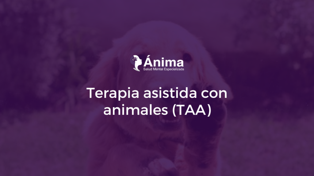 Terapia asistida con animales (TAA)