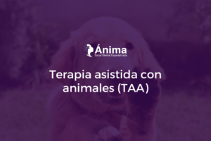 Terapia asistida con animales (TAA)