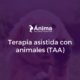 Terapia asistida con animales (TAA)