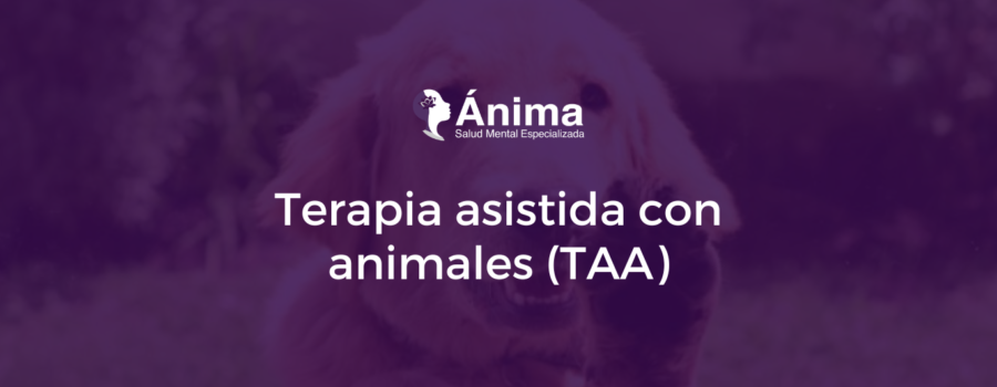 Terapia asistida con animales (TAA)